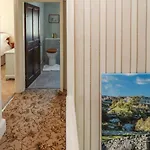 Rose * 塞特尔